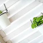 Appartamento Casa Damare Capitolo *